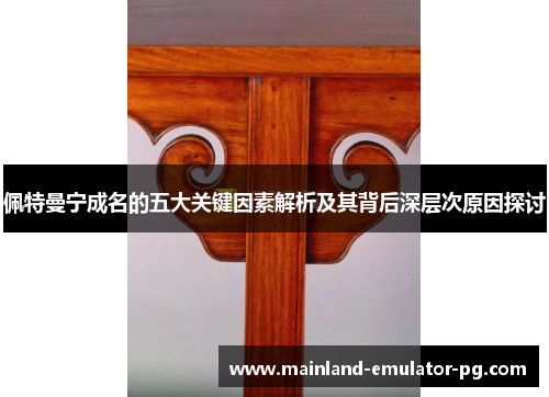 佩特曼宁成名的五大关键因素解析及其背后深层次原因探讨 佩特曼宁成名的五大关键因素解析及其背后深层次原因探讨