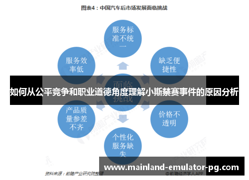 如何从公平竞争和职业道德角度理解小斯禁赛事件的原因分析