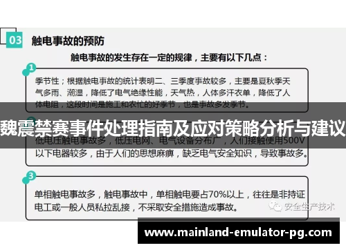 魏震禁赛事件处理指南及应对策略分析与建议