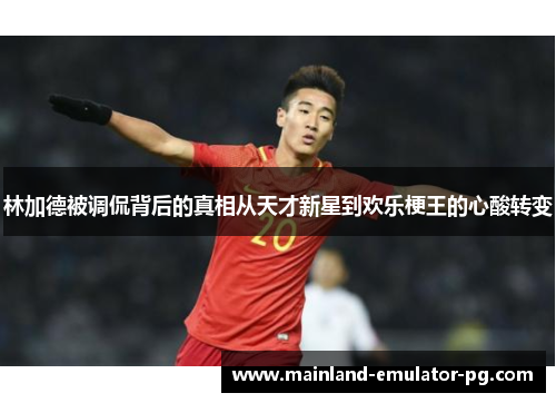 林加德被调侃背后的真相从天才新星到欢乐梗王的心酸转变