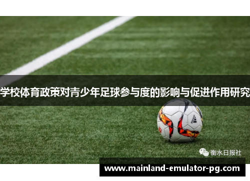 学校体育政策对青少年足球参与度的影响与促进作用研究